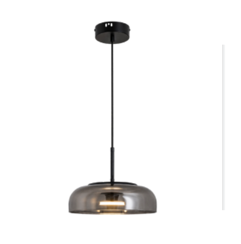 Single Hanging Light - B255