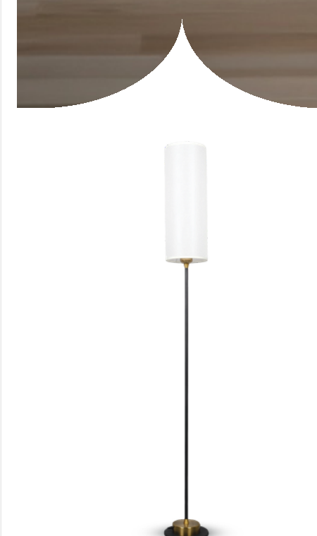 Floor Lamp - DYZT6590