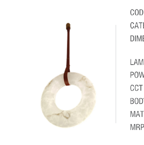 Single Hanging Light - ER25003/400