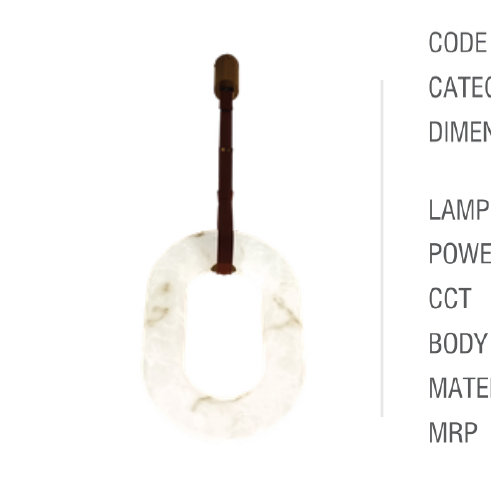 Single Hanging Light - ER25015