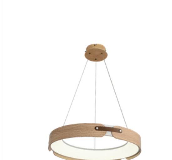Hanging Light - TN9542/580MM WD
