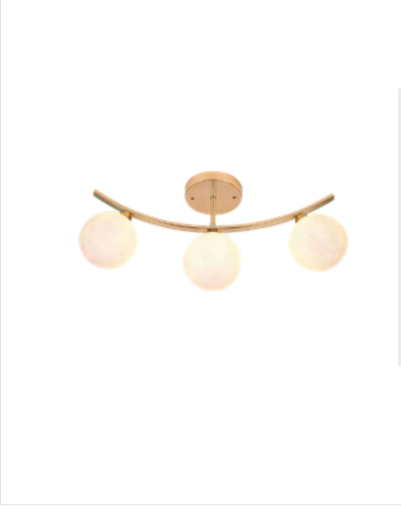 Ceiling Light - SS1882