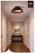 Ceiling Light - TN2608A/500MM BK